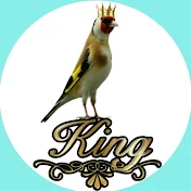 King of Birds