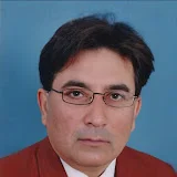 Professor Waqar Hussain