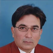 Professor Waqar Hussain
