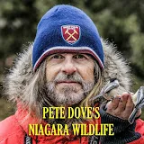 PETE DOVE'S NIAGARA WILDLIFE