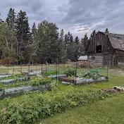 Boreal Barnyard