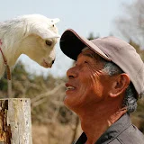 げんじぃ夫婦 / 72歳からヤギを飼う