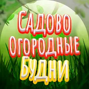 Садово-Огородные Будни