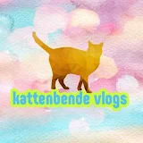 Kattenbende Vlogs