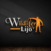 Wildlifer Lijo