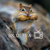 8K Ultra