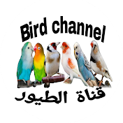 Bird channel قناة الطيور