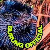 BURUNG OFFICIAL