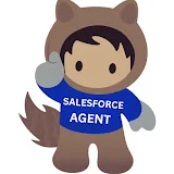 SALESFORCE AGENT