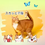 スカッと子猫