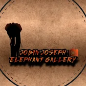 JOBIN JOSEPH ELEPHANT GALLERY