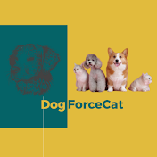 DogForceCat
