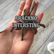 Arachno Interesting