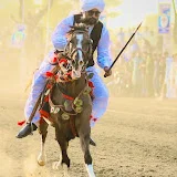 Alkamal bukhari sadat tent pegging club pakistan