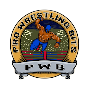 Pro Wrestling Bits