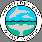 Monterey Bay Whale Watch