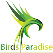 Birds Paradise