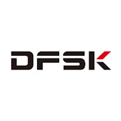 DFSK International