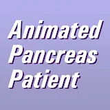 Animated Pancreas Patient