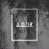 AmiiR