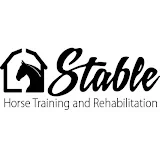 Stable Horse Training