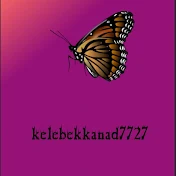 kelebekkanad7727