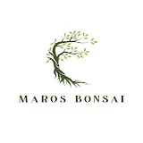 Maros Bonsai Channel