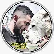 Arif Adnan Akdemir