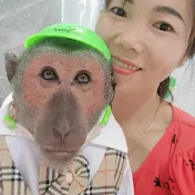 FUNNY MONKEY ABU