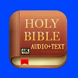 Holy Bible: HD Audio Text