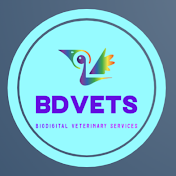 BDVets TV