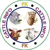 FK Cattle Info