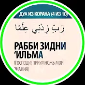 Физиология человека - N1