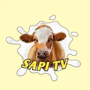 SAPI LEMBU TV