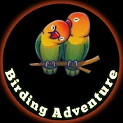 birding adventure