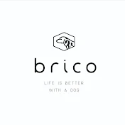 マグさんのbricoチャンネル