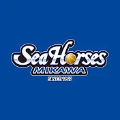 シーホース三河 -Seahorses Mikawa-