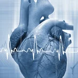 Cardiology