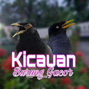 KICAUAN BURUNG GACOR