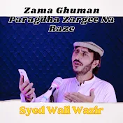 Syed Wali Wazir - Topic
