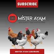 MISTER AYAM