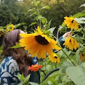 Calendula Craft