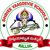 Shriee Vaagdevie School mallial