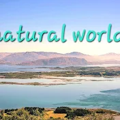 natural world