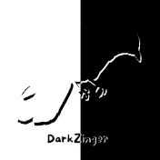 DarkZinger