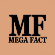 Mega Fact