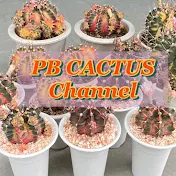 PB CACTUS channel