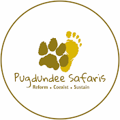 Pugdundee Safaris