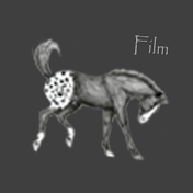 Animals Appaloosa - Official