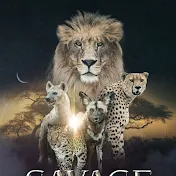 Savage Kingdom